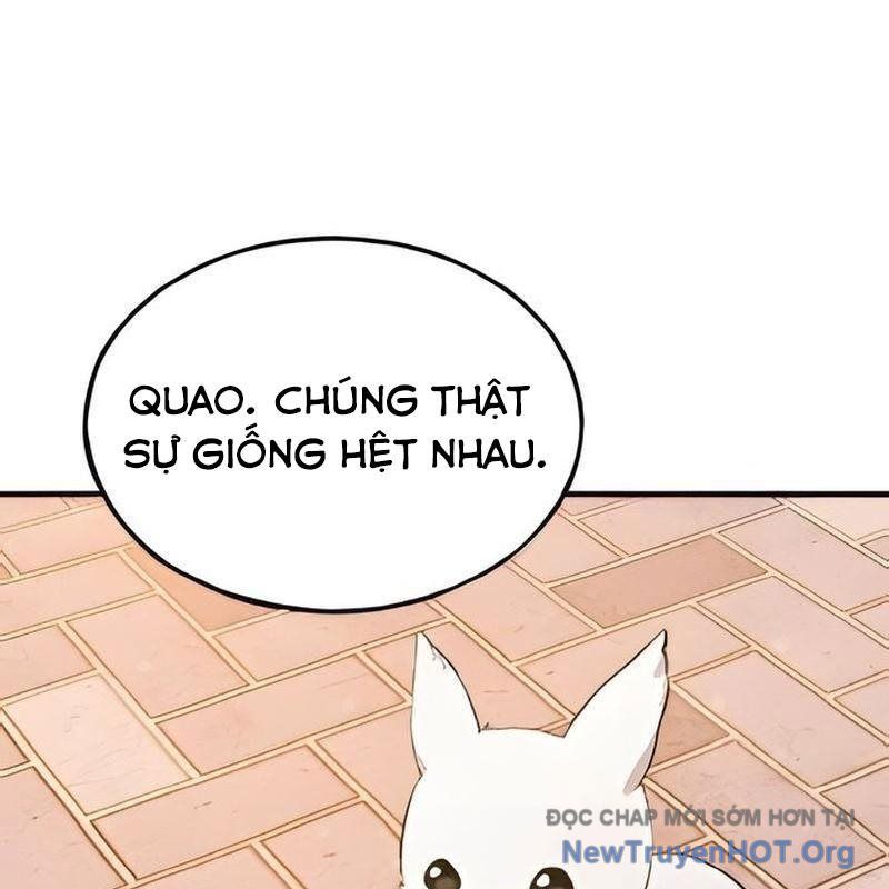 Chào Nhé, Griffin Mắt Tròn! Chap 2 - Next Chap 3