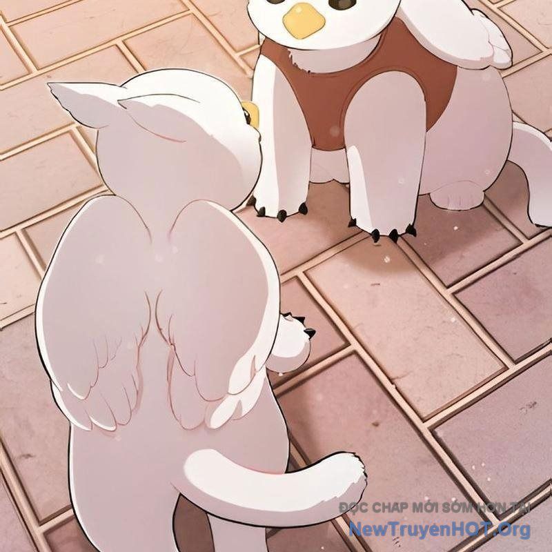 Chào Nhé, Griffin Mắt Tròn! Chap 2 - Next Chap 3