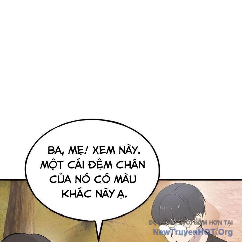Chào Nhé, Griffin Mắt Tròn! Chap 2 - Next Chap 3