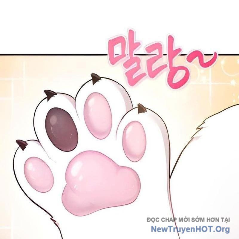 Chào Nhé, Griffin Mắt Tròn! Chap 2 - Next Chap 3