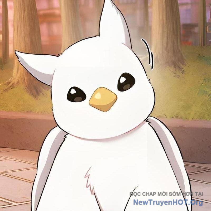 Chào Nhé, Griffin Mắt Tròn! Chap 2 - Next Chap 3