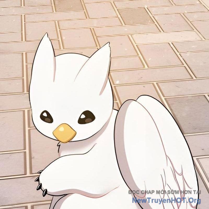Chào Nhé, Griffin Mắt Tròn! Chap 2 - Next Chap 3