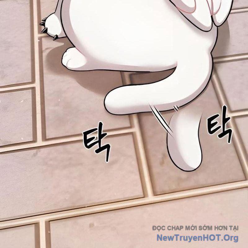 Chào Nhé, Griffin Mắt Tròn! Chap 2 - Next Chap 3