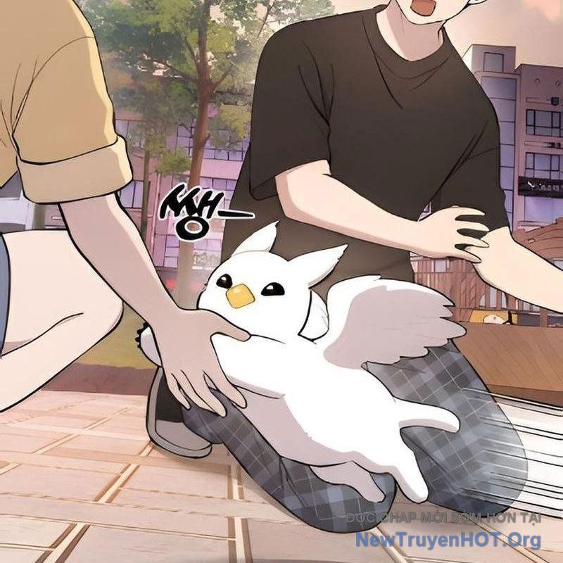 Chào Nhé, Griffin Mắt Tròn! Chap 2 - Next Chap 3