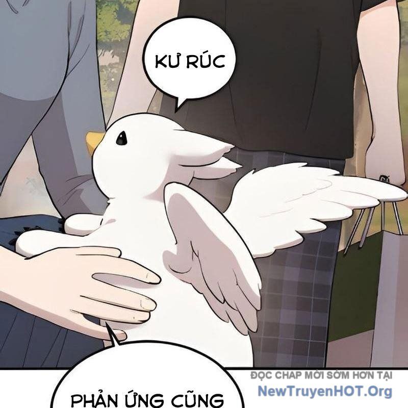 Chào Nhé, Griffin Mắt Tròn! Chap 2 - Next Chap 3