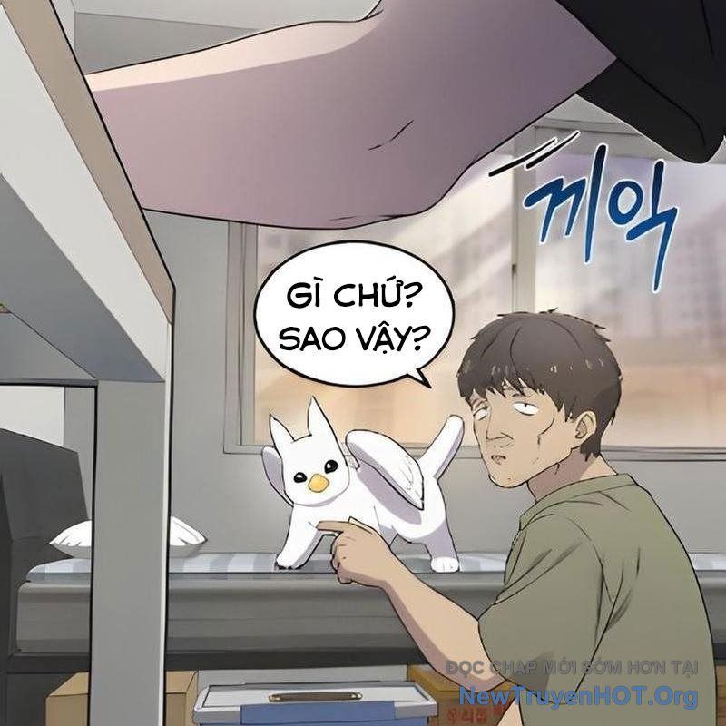 Chào Nhé, Griffin Mắt Tròn! Chap 3 - Next Chap 4