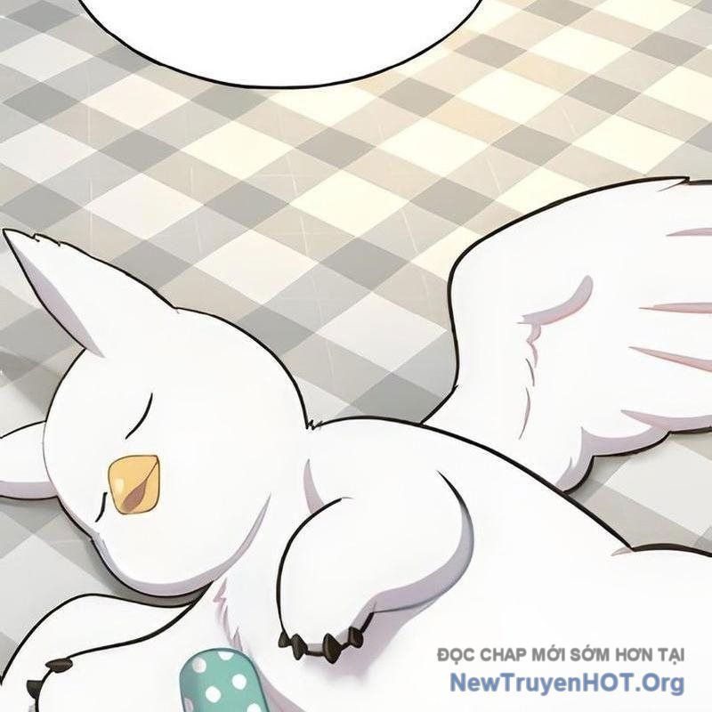 Chào Nhé, Griffin Mắt Tròn! Chap 3 - Next Chap 4
