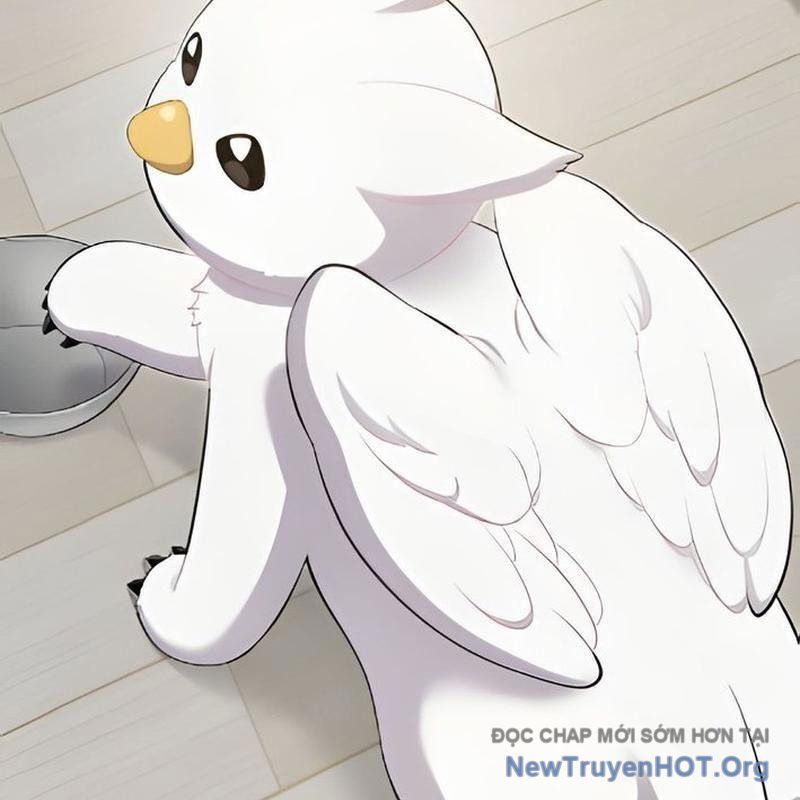 Chào Nhé, Griffin Mắt Tròn! Chap 3 - Next Chap 4