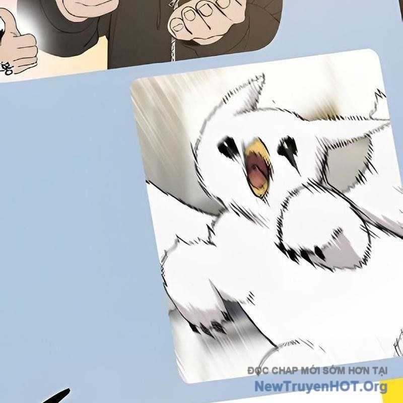 Chào Nhé, Griffin Mắt Tròn! Chap 3 - Next Chap 4