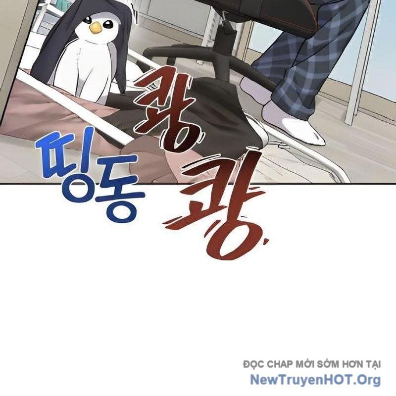 Chào Nhé, Griffin Mắt Tròn! Chap 3 - Next Chap 4