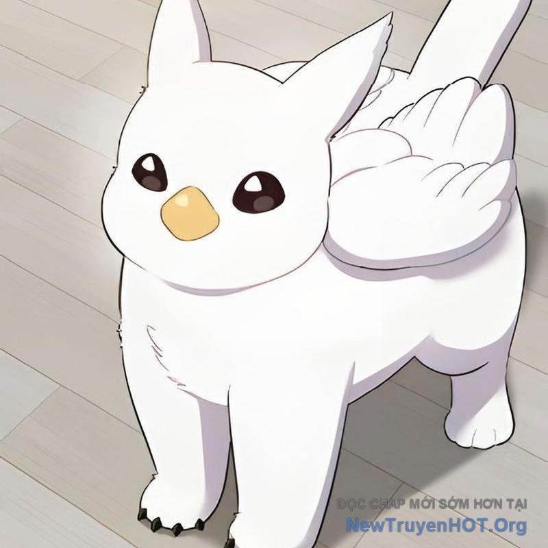 Chào Nhé, Griffin Mắt Tròn! Chap 3 - Next Chap 4