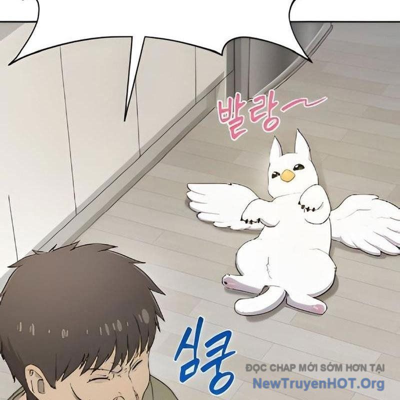 Chào Nhé, Griffin Mắt Tròn! Chap 3 - Next Chap 4