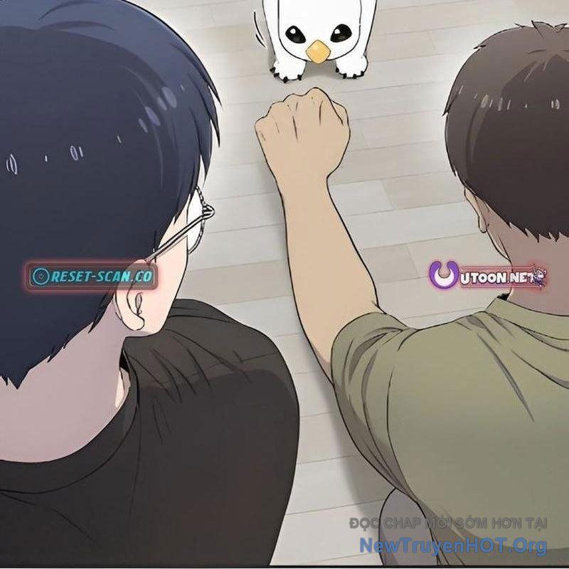 Chào Nhé, Griffin Mắt Tròn! Chap 3 - Next Chap 4