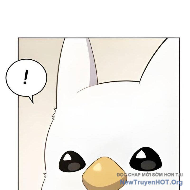 Chào Nhé, Griffin Mắt Tròn! Chap 3 - Next Chap 4
