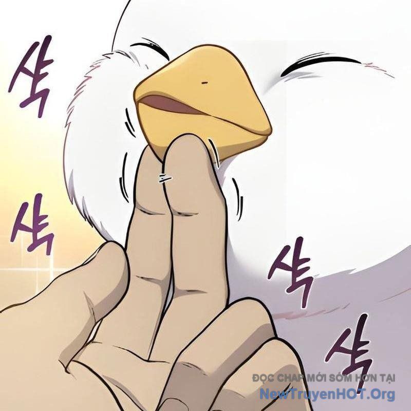 Chào Nhé, Griffin Mắt Tròn! Chap 3 - Next Chap 4