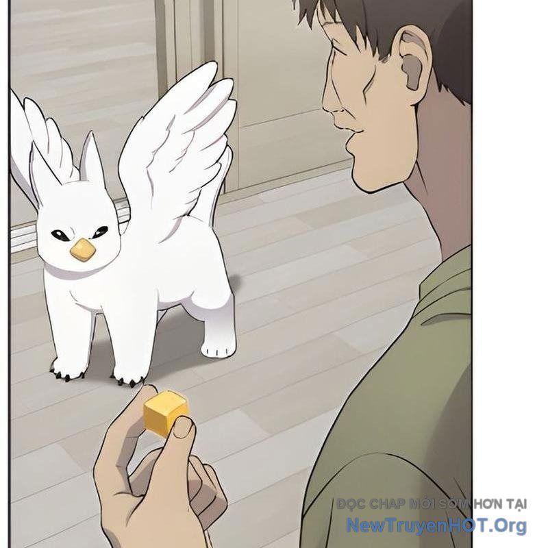 Chào Nhé, Griffin Mắt Tròn! Chap 3 - Next Chap 4