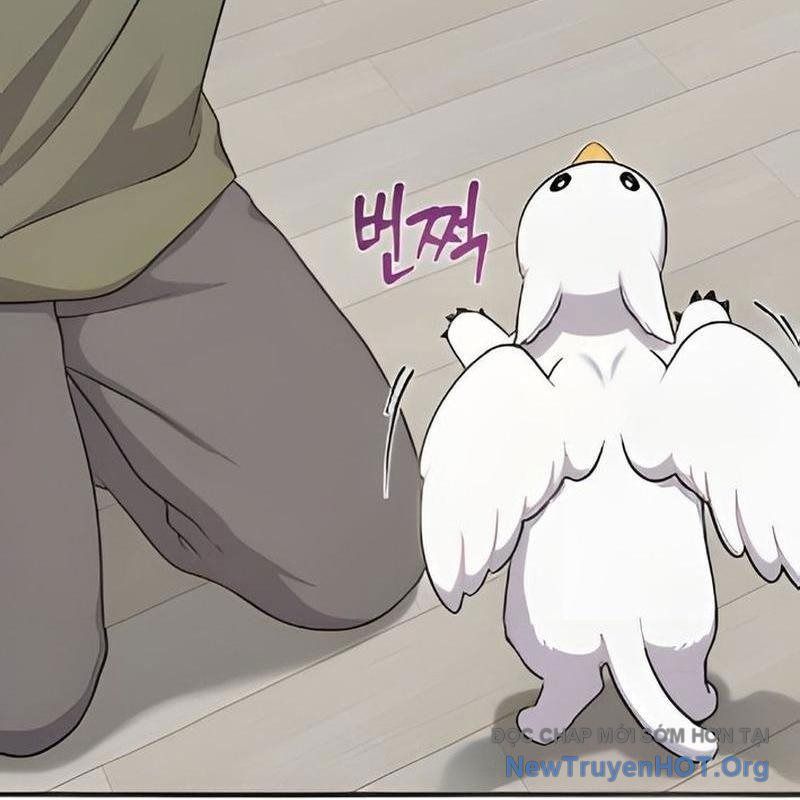 Chào Nhé, Griffin Mắt Tròn! Chap 3 - Next Chap 4