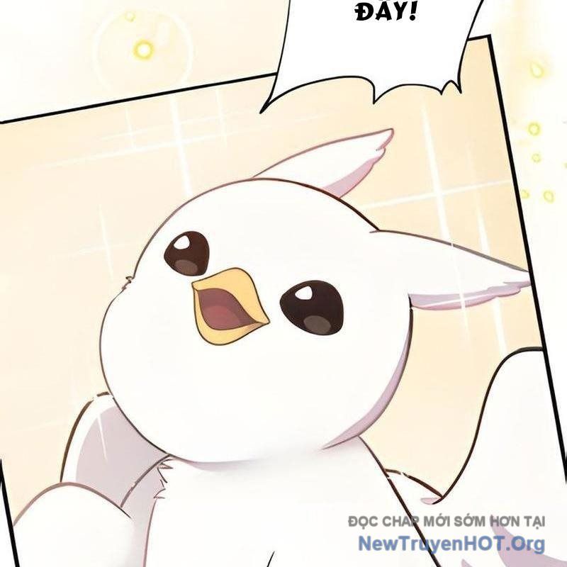 Chào Nhé, Griffin Mắt Tròn! Chap 3 - Next Chap 4