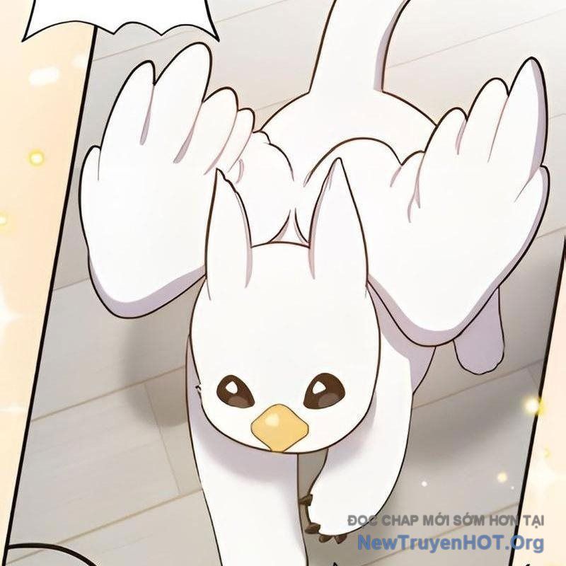 Chào Nhé, Griffin Mắt Tròn! Chap 3 - Next Chap 4