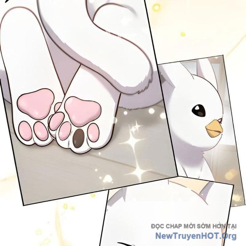 Chào Nhé, Griffin Mắt Tròn! Chap 3 - Next Chap 4