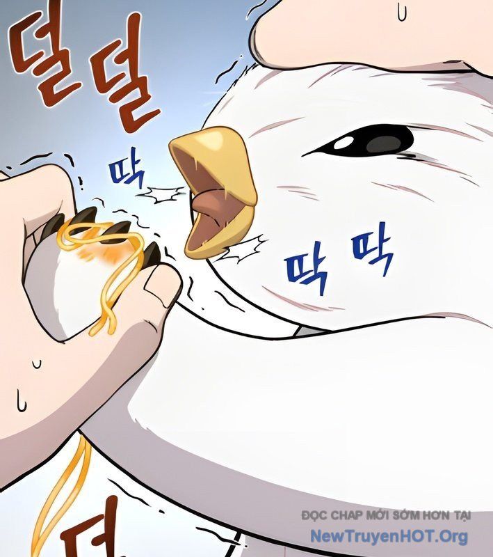 Chào Nhé, Griffin Mắt Tròn! Chap 4 - Next Chap 5