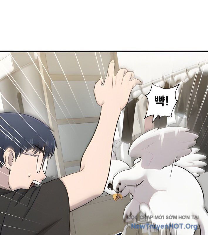 Chào Nhé, Griffin Mắt Tròn! Chap 4 - Next Chap 5