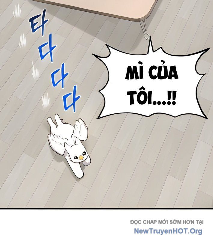 Chào Nhé, Griffin Mắt Tròn! Chap 4 - Next Chap 5
