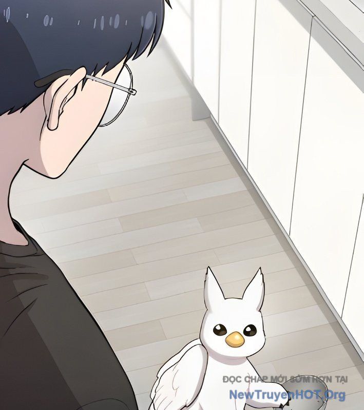 Chào Nhé, Griffin Mắt Tròn! Chap 4 - Next Chap 5