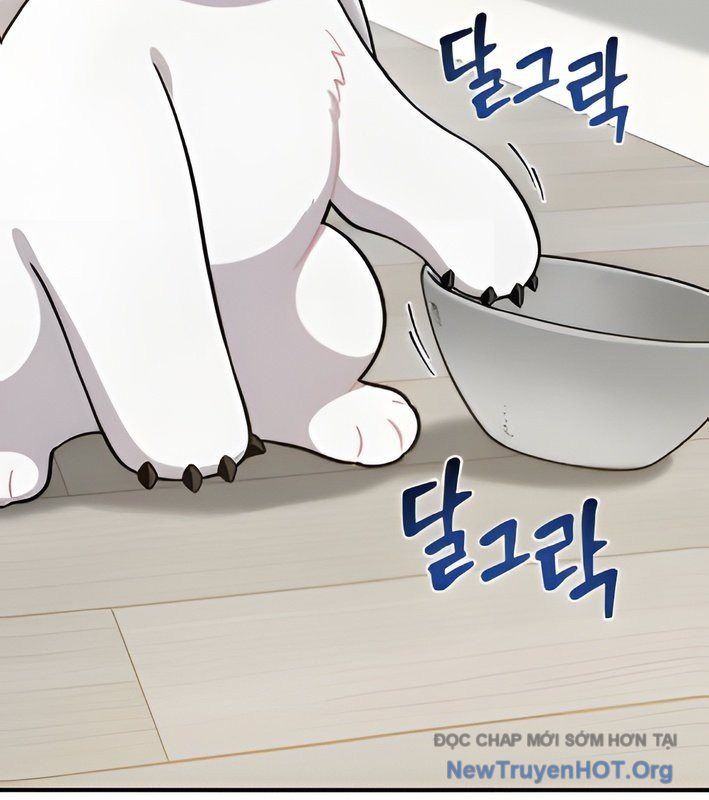 Chào Nhé, Griffin Mắt Tròn! Chap 4 - Next Chap 5