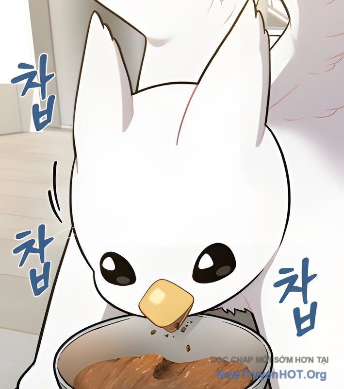 Chào Nhé, Griffin Mắt Tròn! Chap 4 - Next Chap 5