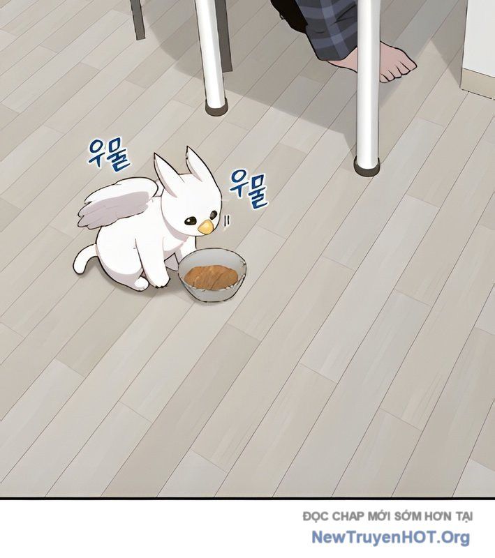 Chào Nhé, Griffin Mắt Tròn! Chap 4 - Next Chap 5