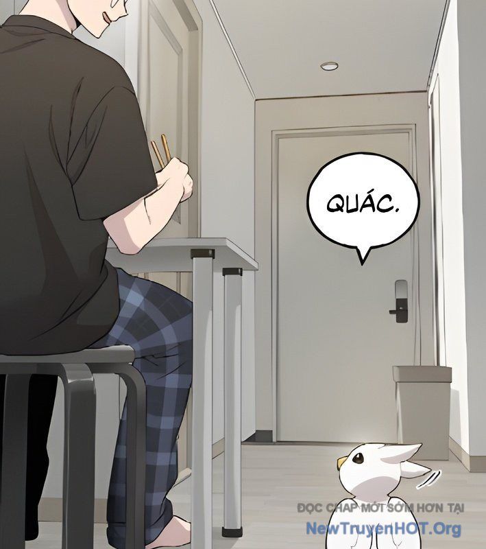 Chào Nhé, Griffin Mắt Tròn! Chap 4 - Next Chap 5