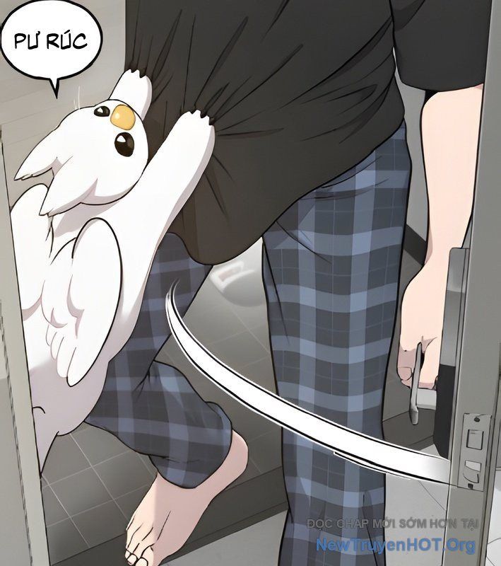 Chào Nhé, Griffin Mắt Tròn! Chap 4 - Next Chap 5