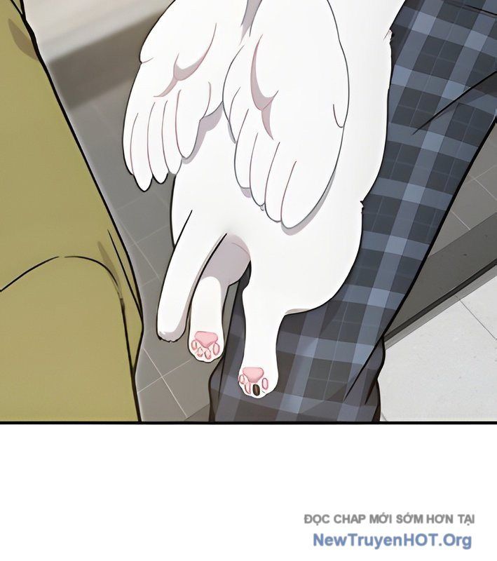 Chào Nhé, Griffin Mắt Tròn! Chap 4 - Next Chap 5