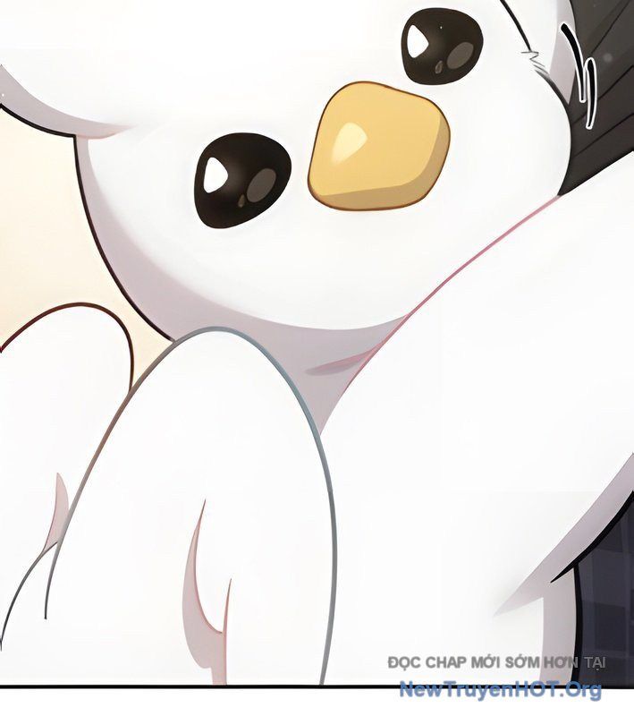 Chào Nhé, Griffin Mắt Tròn! Chap 4 - Next Chap 5