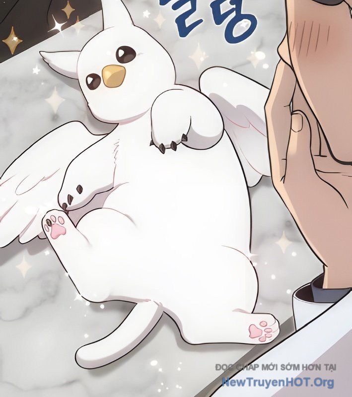 Chào Nhé, Griffin Mắt Tròn! Chap 4 - Next Chap 5