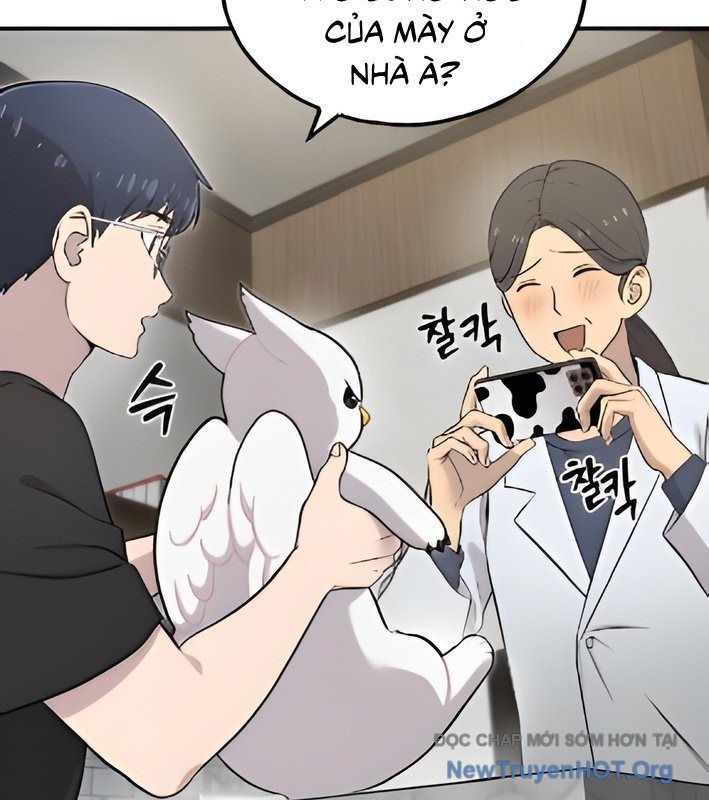 Chào Nhé, Griffin Mắt Tròn! Chap 4 - Next Chap 5