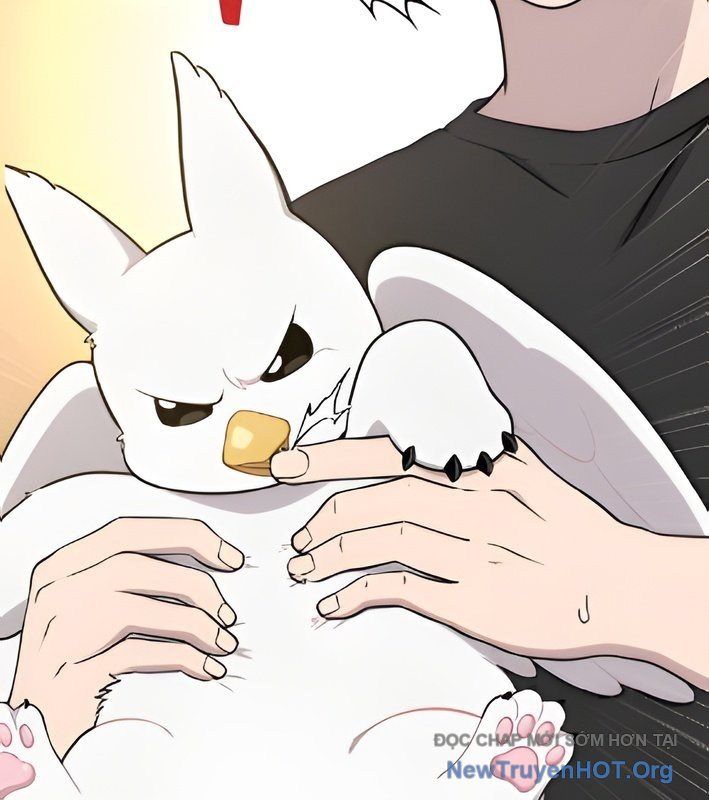 Chào Nhé, Griffin Mắt Tròn! Chap 4 - Next Chap 5