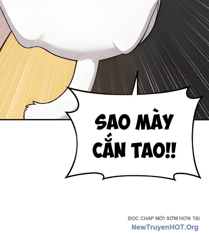Chào Nhé, Griffin Mắt Tròn! Chap 4 - Next Chap 5