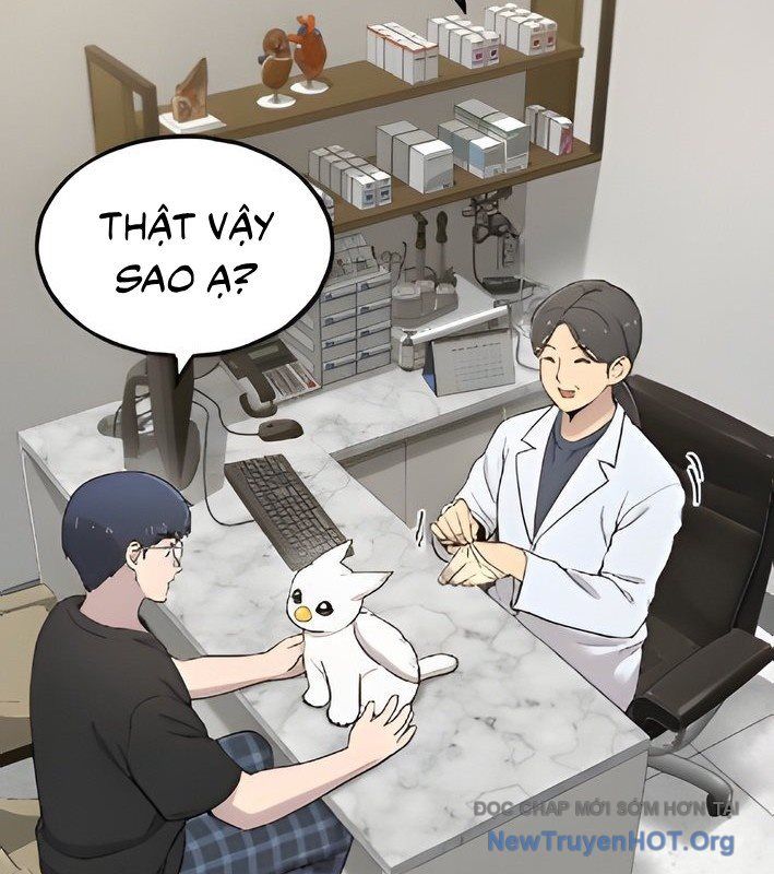 Chào Nhé, Griffin Mắt Tròn! Chap 4 - Next Chap 5