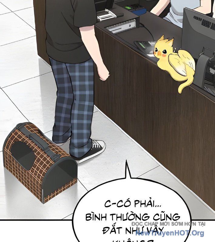 Chào Nhé, Griffin Mắt Tròn! Chap 4 - Next Chap 5
