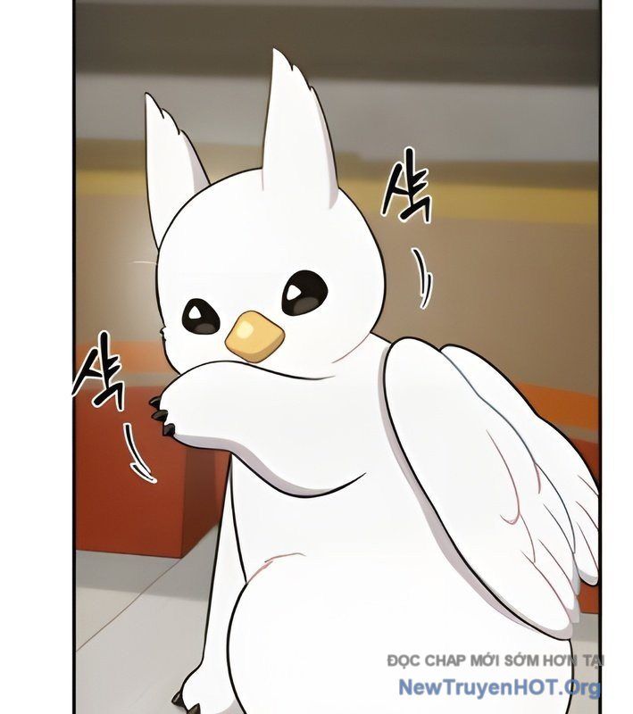 Chào Nhé, Griffin Mắt Tròn! Chap 4 - Next Chap 5