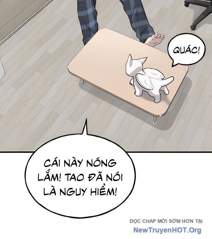 Chào Nhé, Griffin Mắt Tròn! Chap 4 - Next Chap 5