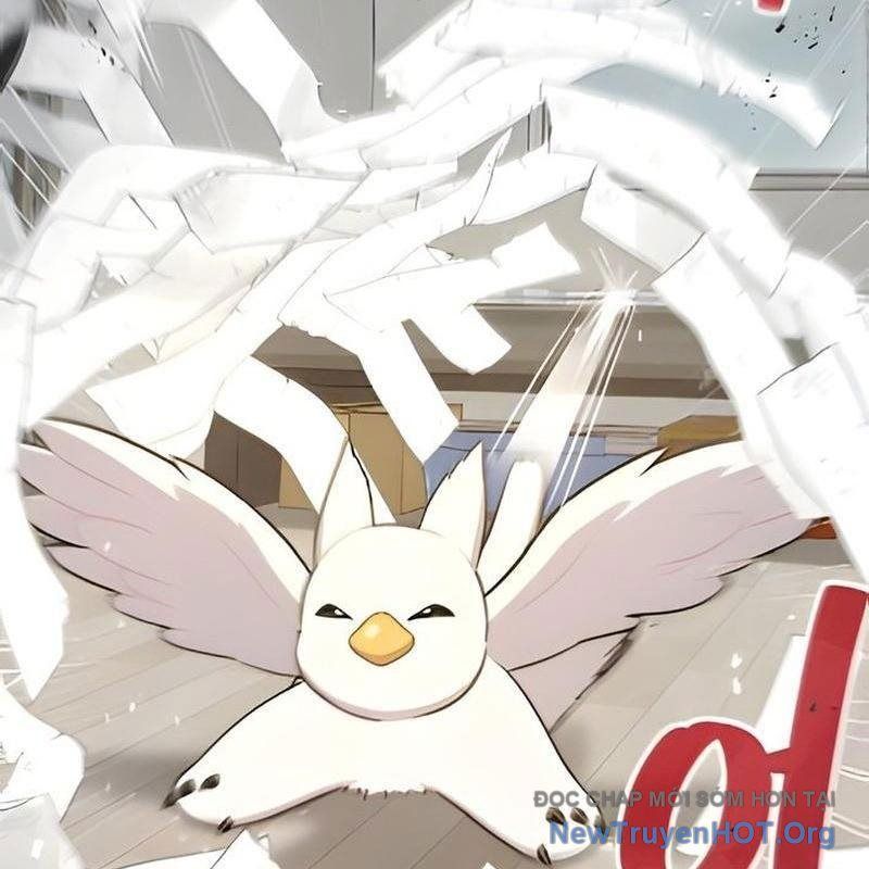 Chào Nhé, Griffin Mắt Tròn! Chap 5 - Next Chap 6