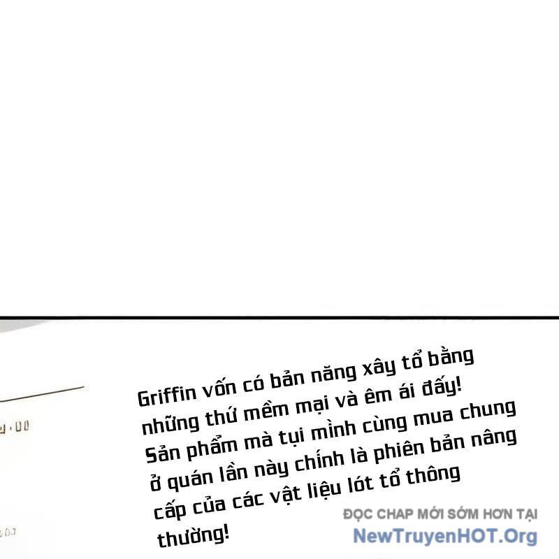 Chào Nhé, Griffin Mắt Tròn! Chap 5 - Next Chap 6