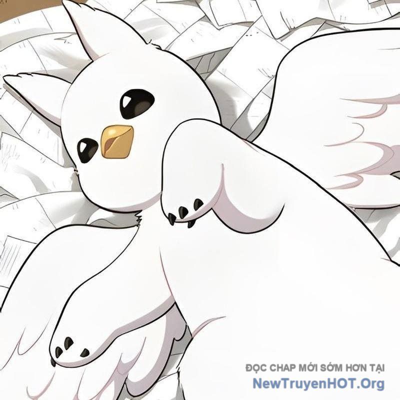 Chào Nhé, Griffin Mắt Tròn! Chap 5 - Next Chap 6