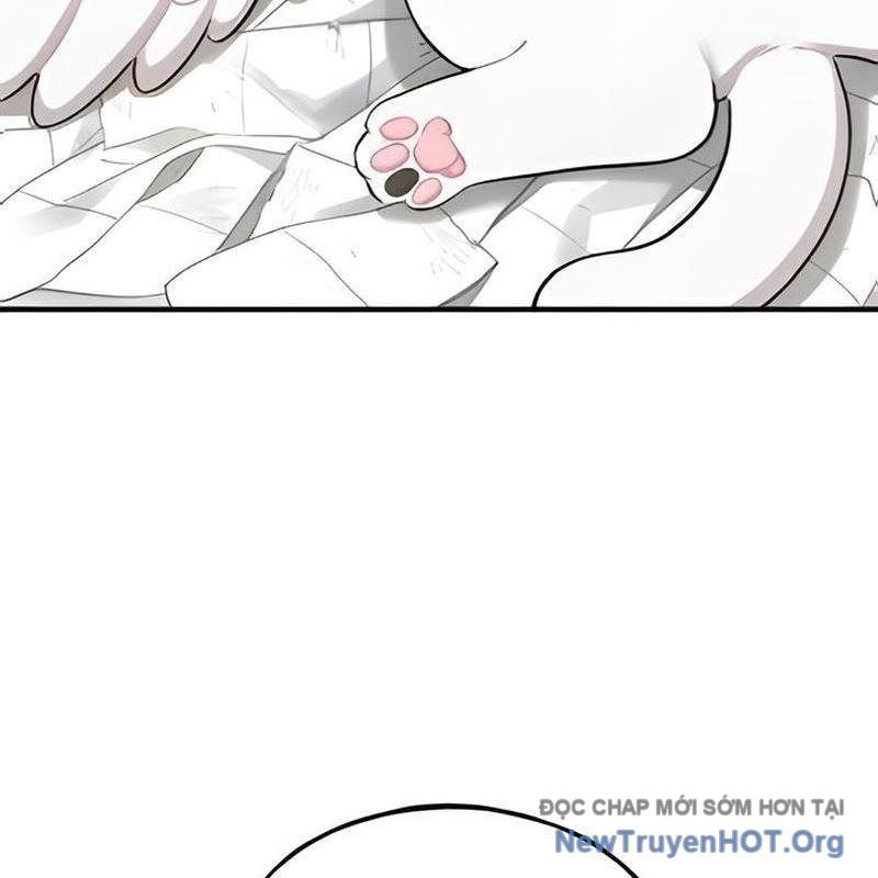 Chào Nhé, Griffin Mắt Tròn! Chap 5 - Next Chap 6
