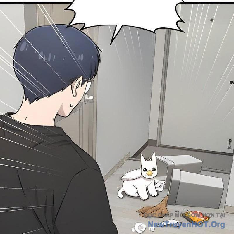 Chào Nhé, Griffin Mắt Tròn! Chap 5 - Next Chap 6