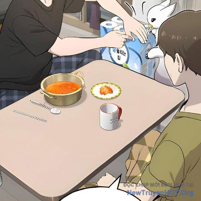 Chào Nhé, Griffin Mắt Tròn! Chap 5 - Next Chap 6