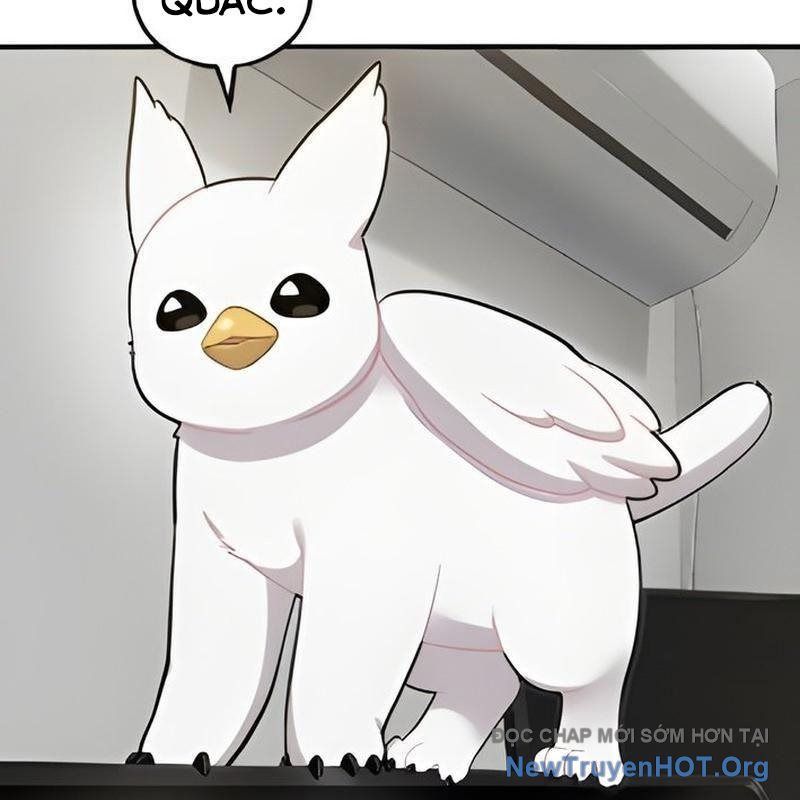 Chào Nhé, Griffin Mắt Tròn! Chap 5 - Next Chap 6